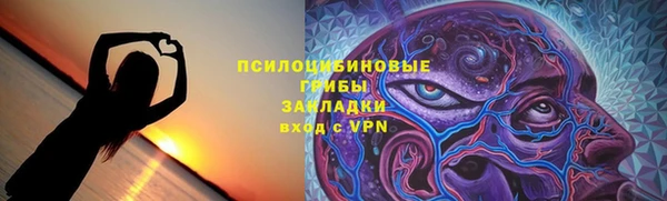 гидропоника Белокуриха