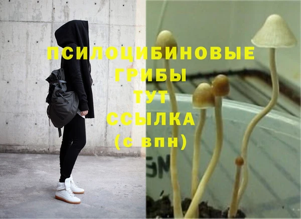 гидропоника Белокуриха